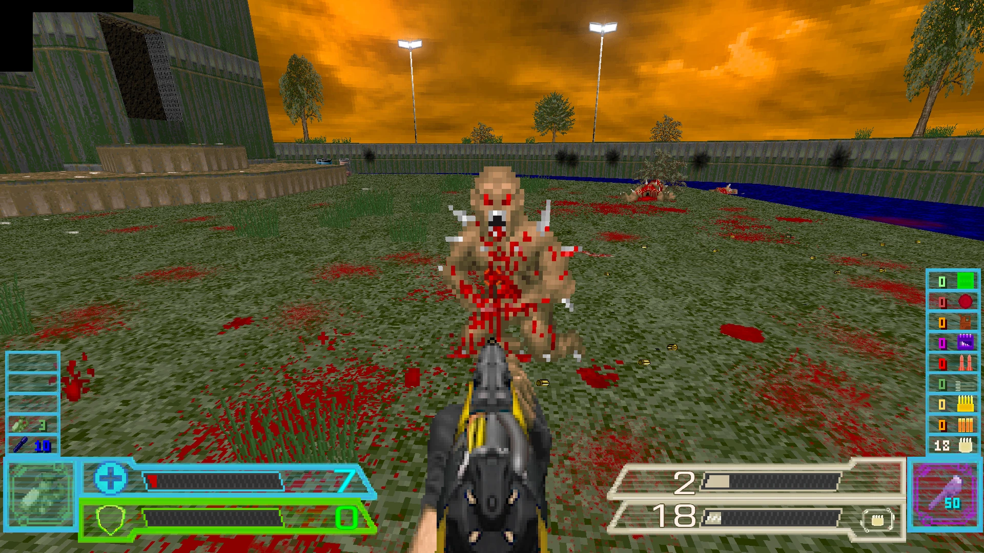 First-person view shooting a bloodied demon monster in a green outdoor arena under an orange sky in Doom II mod Project Survival