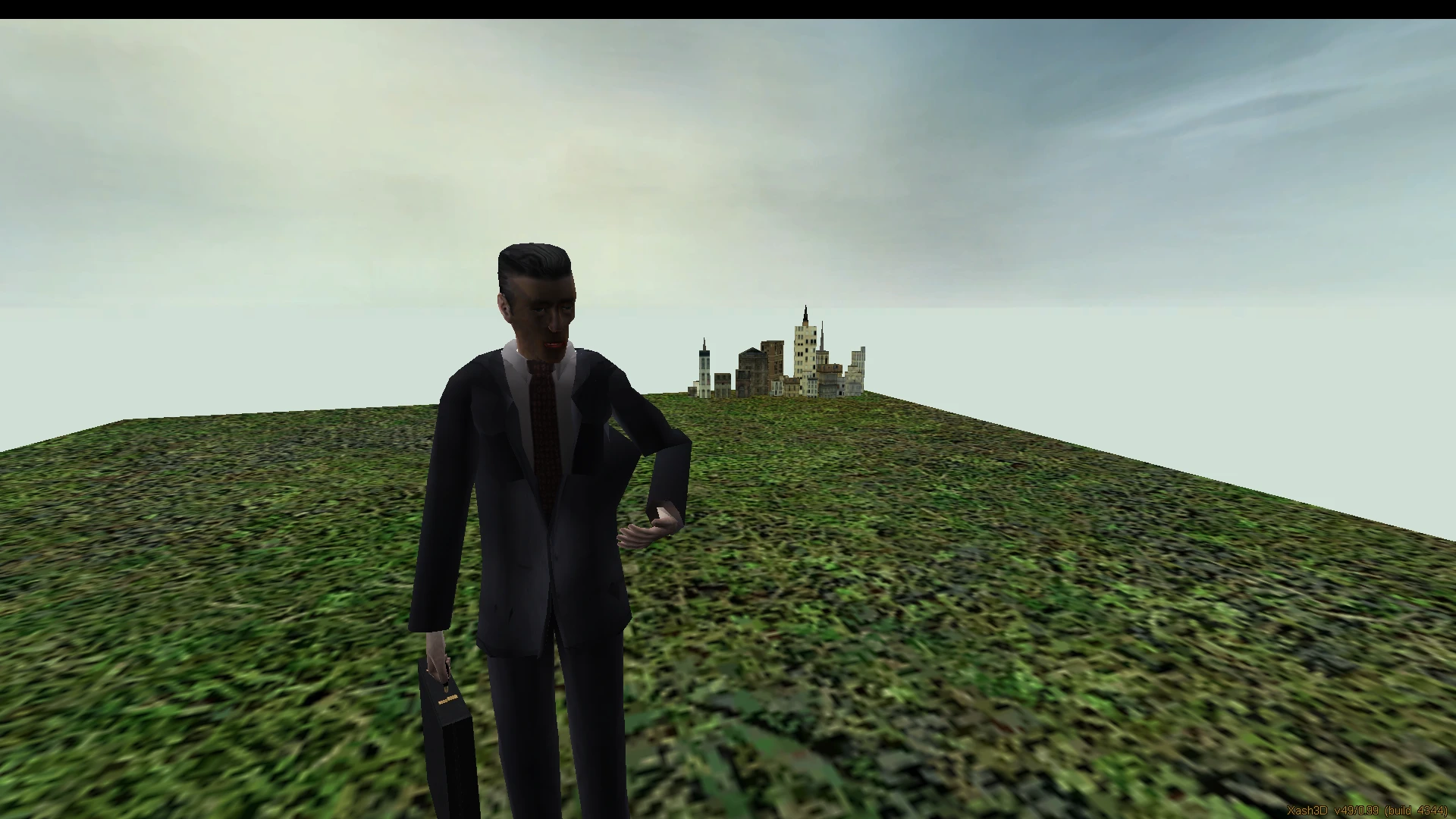 Ein niedrig aufgelöster Geschäftsmann in Anzug steht auf flachem Gras mit einer kleinen Stadt im Hintergrund im Half-Life 2 Beta Minimalist Mod