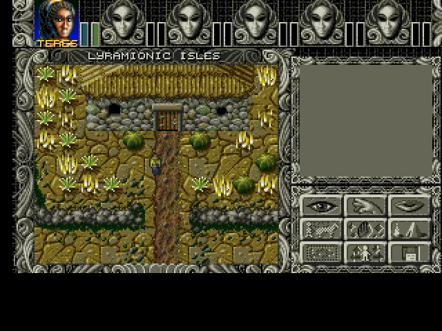 Изображение из игры Ambermoon (1993)