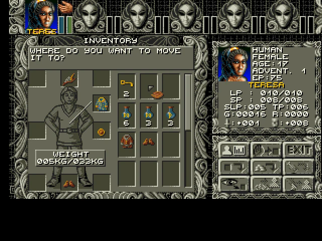 Изображение из игры Ambermoon (1993)