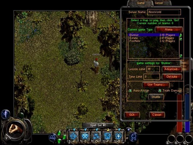 Screenshot from the game Nox (2000)