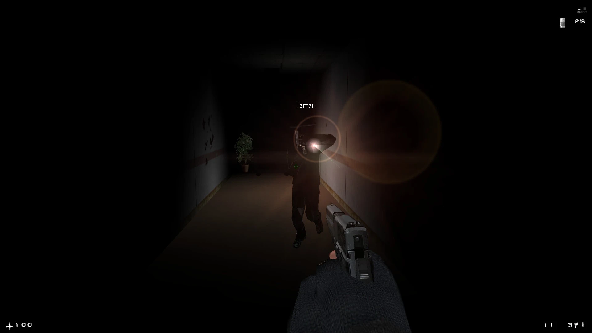 Spieler zielt mit Pistole auf feindliche Figur namens Tamari im dunklen Flur mit Taschenlampenlicht im Half-Life Mod