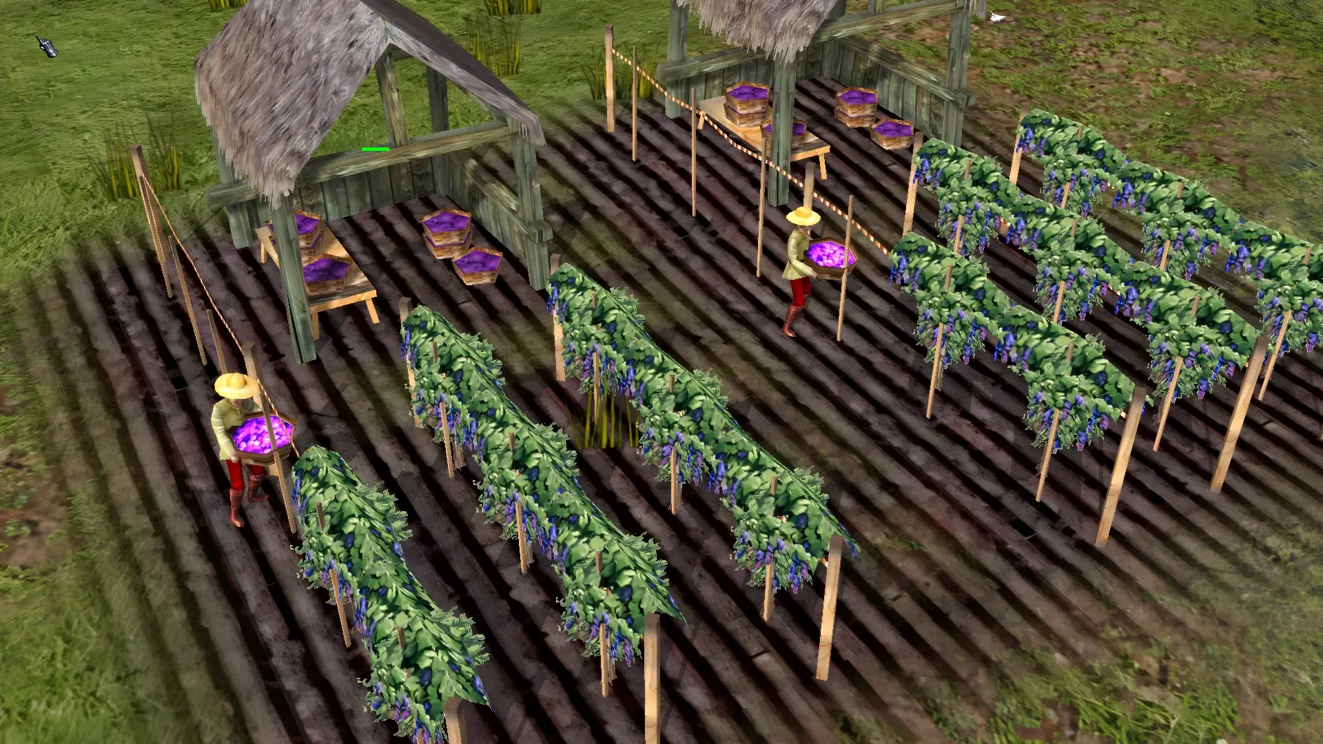 Weinbergszene mit Reben und zwei Arbeitern mit Körben voller Trauben im Stronghold 2 HD Mod.
