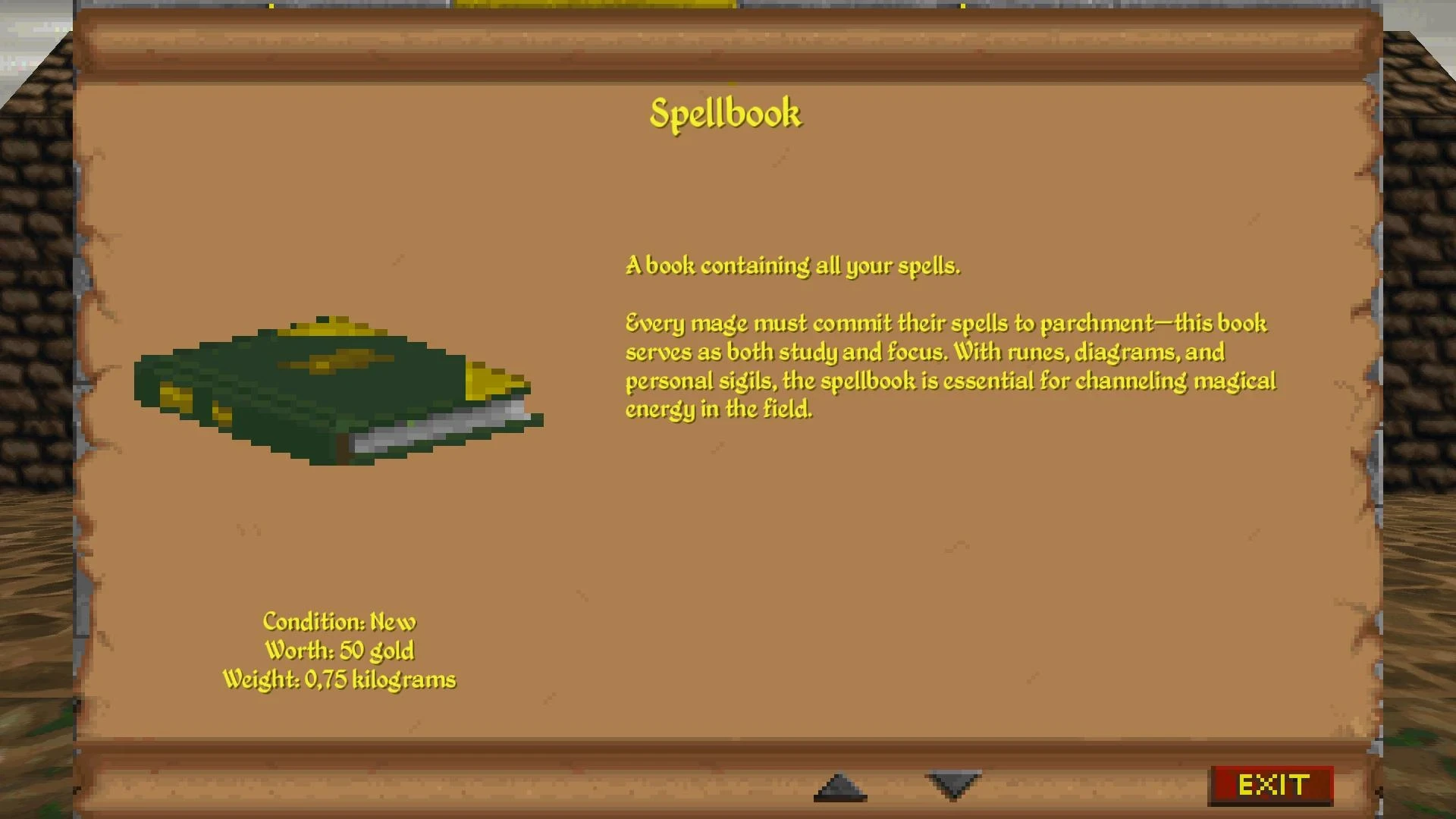 In-game spellbook item description showing details about spells, condition, worth, and weight